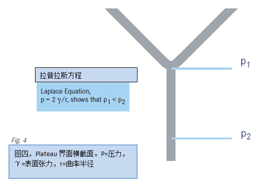 圖四，Plateau界面橫截面